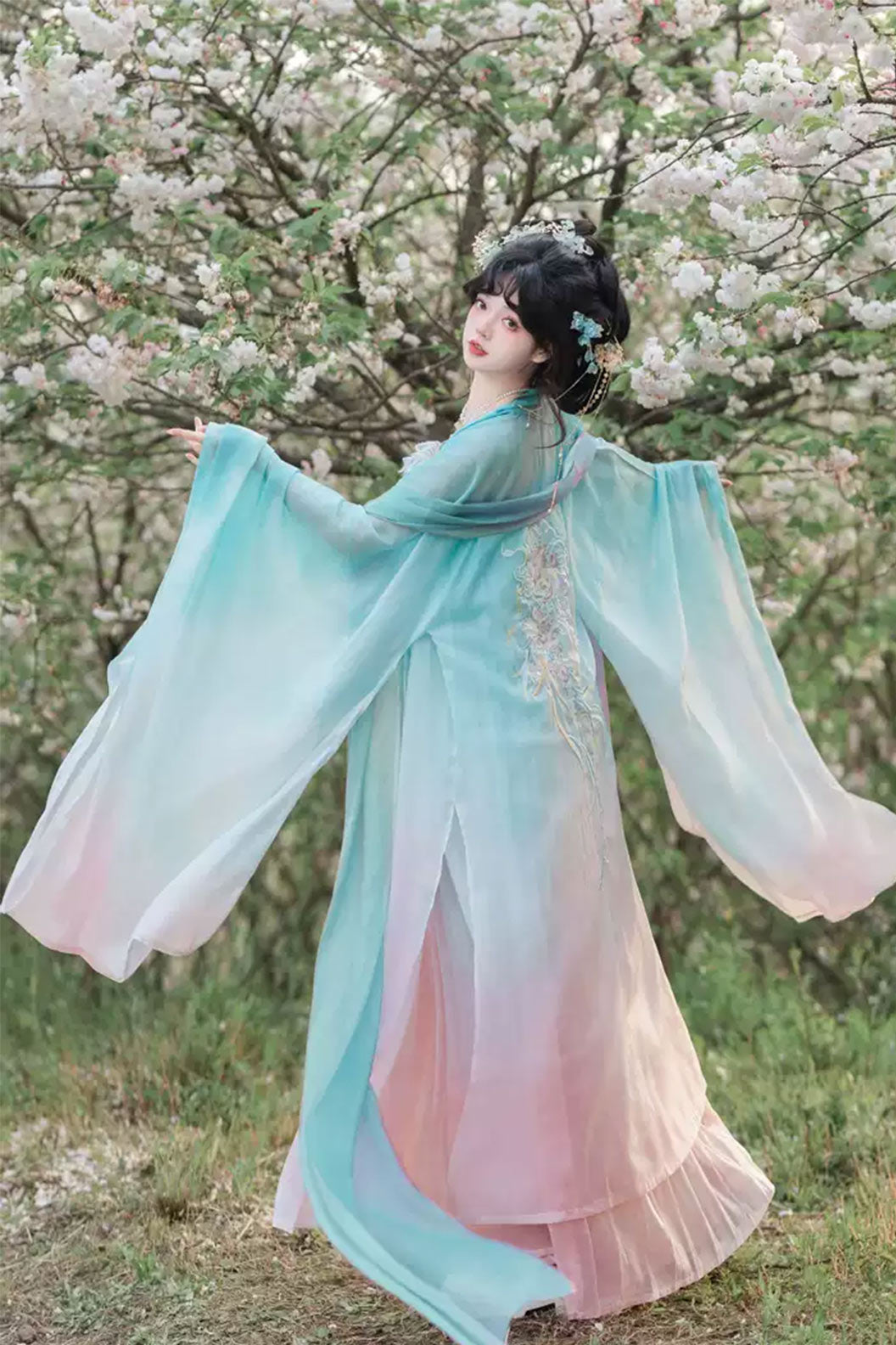 Tang Dynasty Clothing Kouzi Skirt Qi Xiong Po Sleeve Hanfu Dress - midie 迷蝶