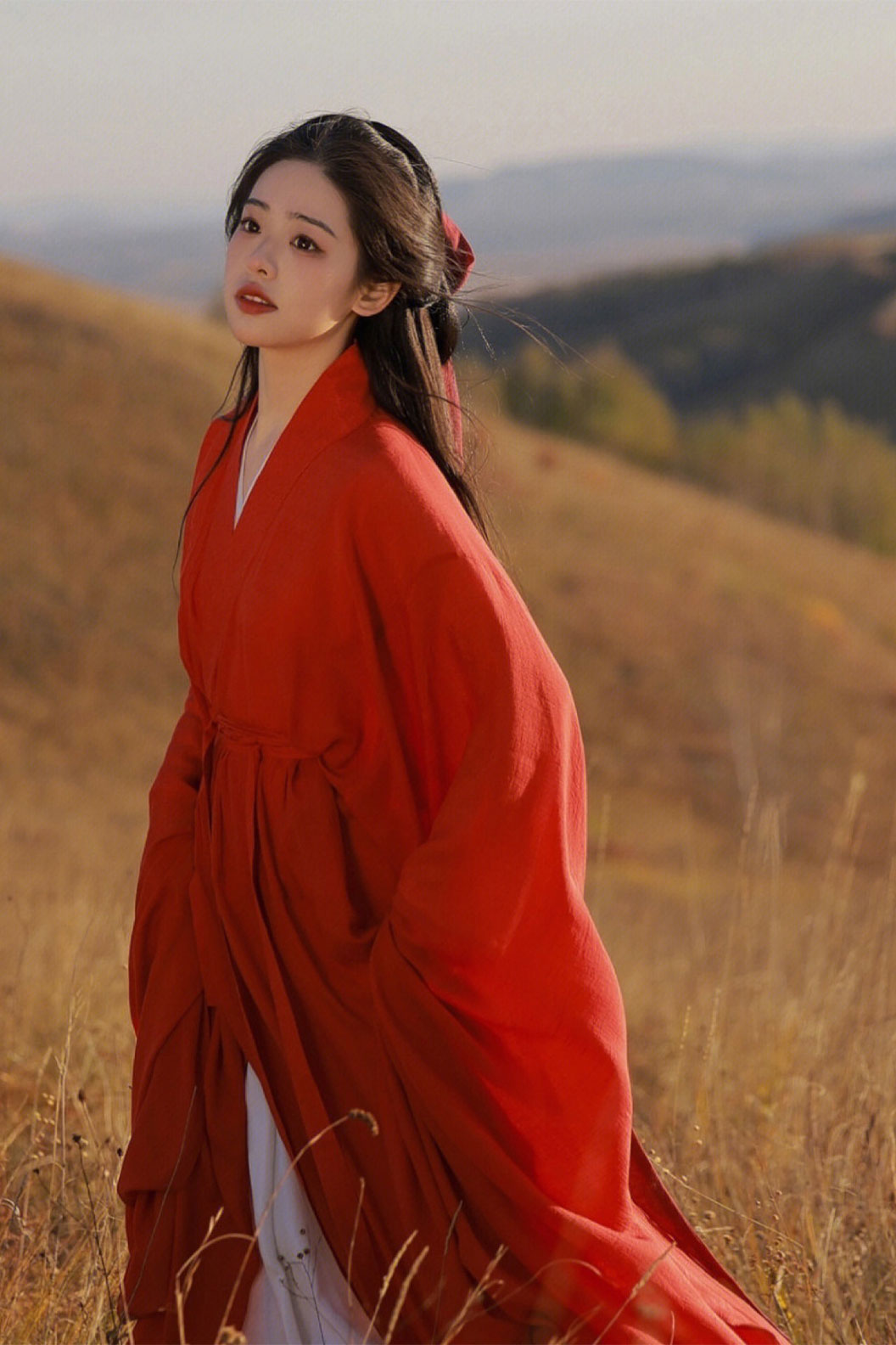 Wei Jin dynasty hanfu straight front ruqun set with missing heart - qieqieyousisheng 戚戚忧思深