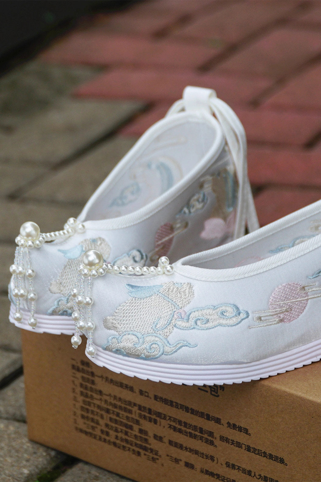 Embroidered Shoes Ming Dynasty Handmade Cloth Shoes