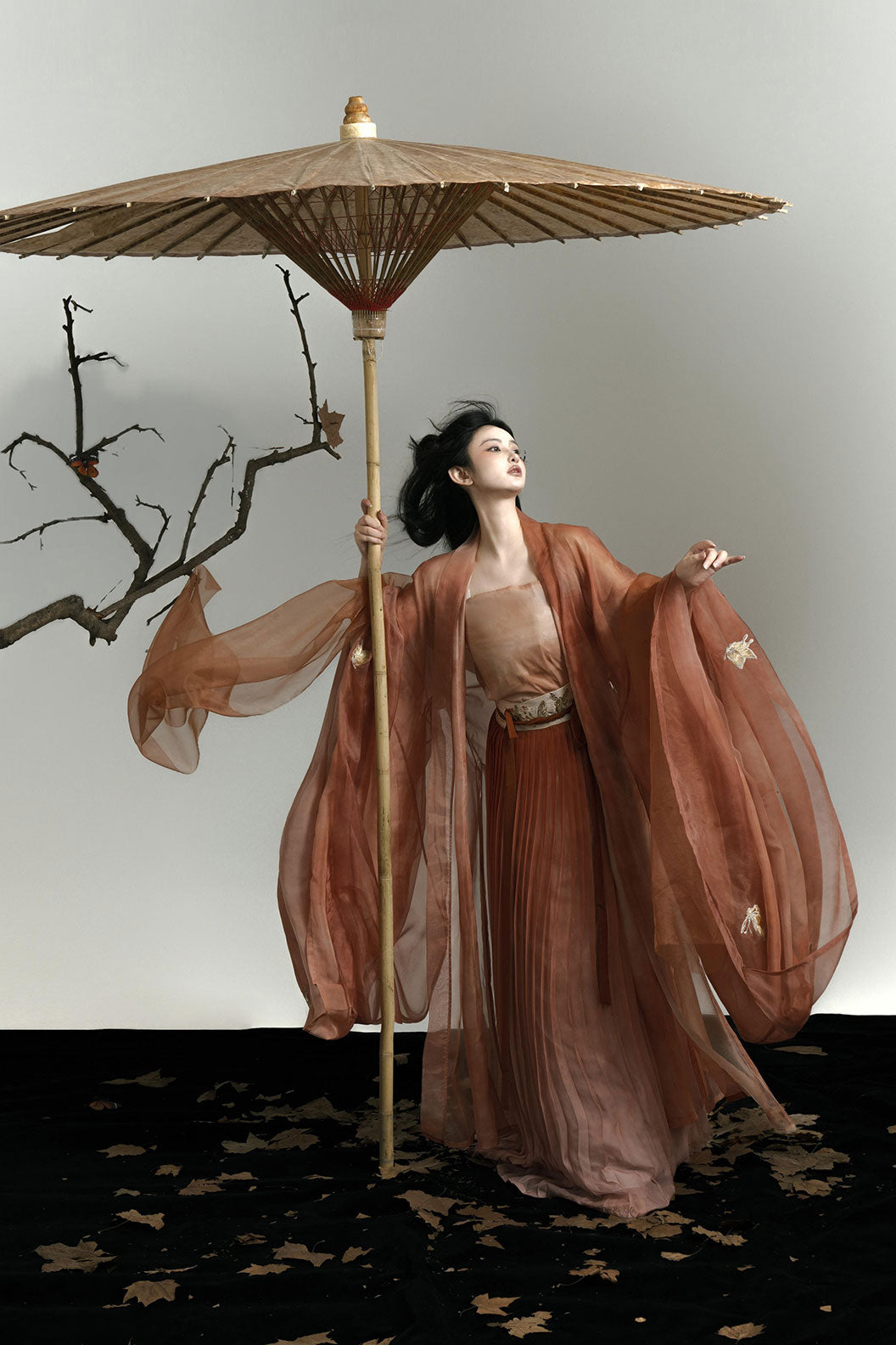 Song Dynasty Brown Hanfu Dress with One-Piece Waist-length Skirt and Long Shirt - kudie 枯蝶