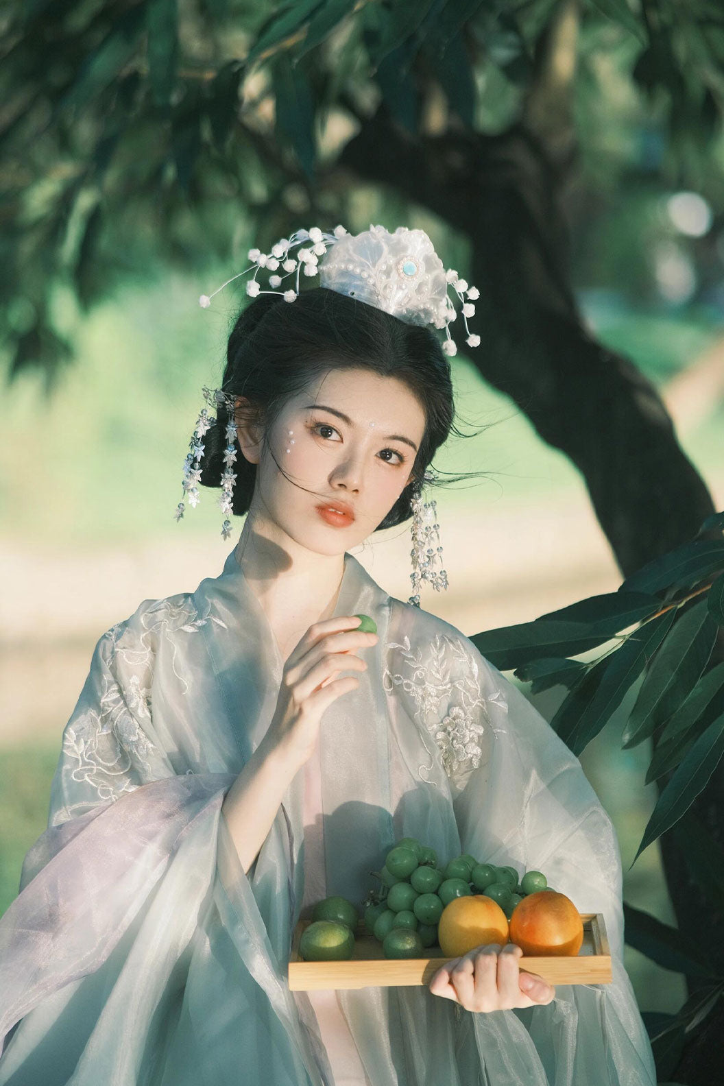 Song dynasty hanfu Green hanfu dress Embroidered Wide Sleeve Shirt - daise 黛色